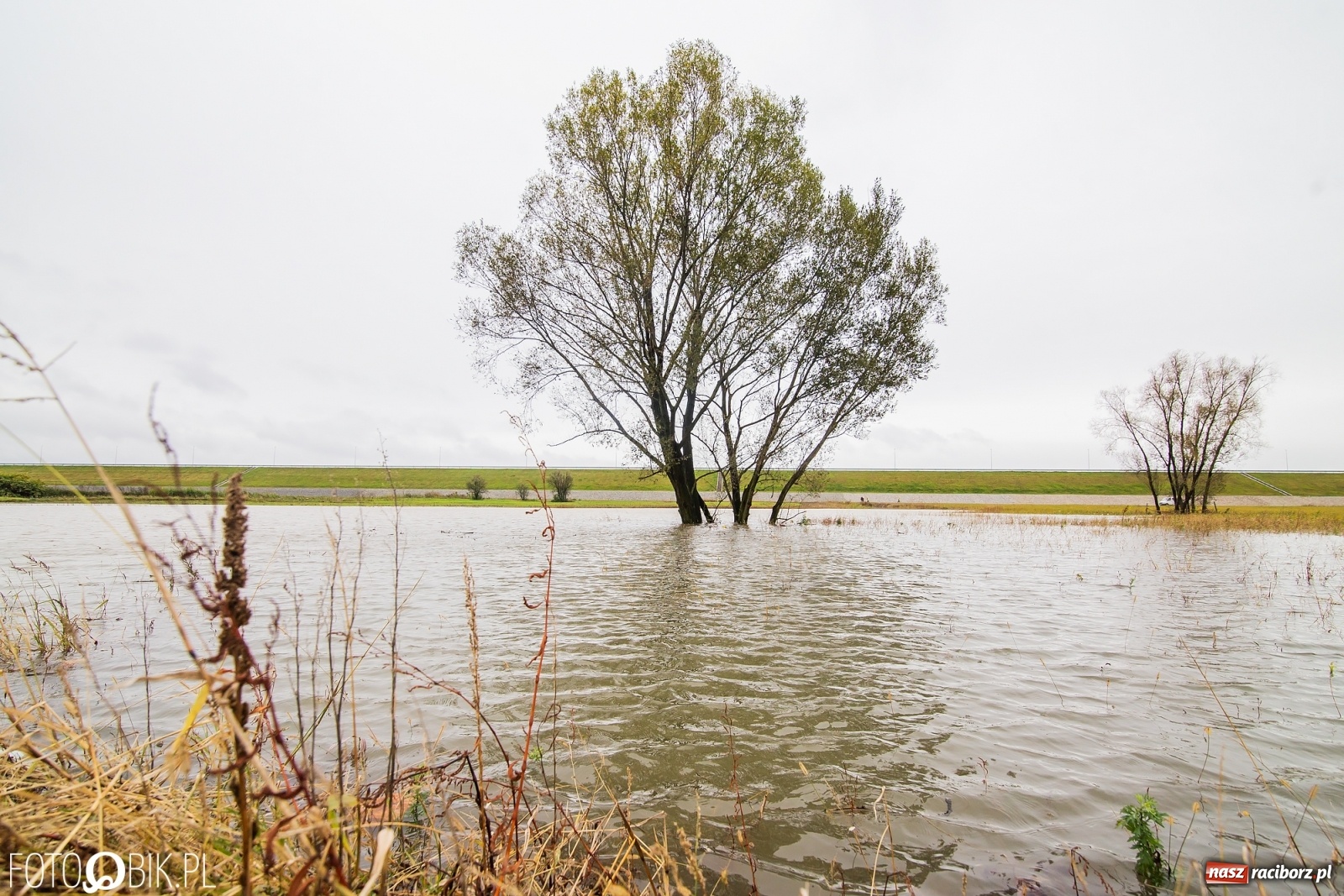 Zdjęcie w galerii na portalu naszraciborz.pl: Podjęto decyzję o natychmiastowym uruchomieniu zbiornika Racibórz wiadomości z regionu