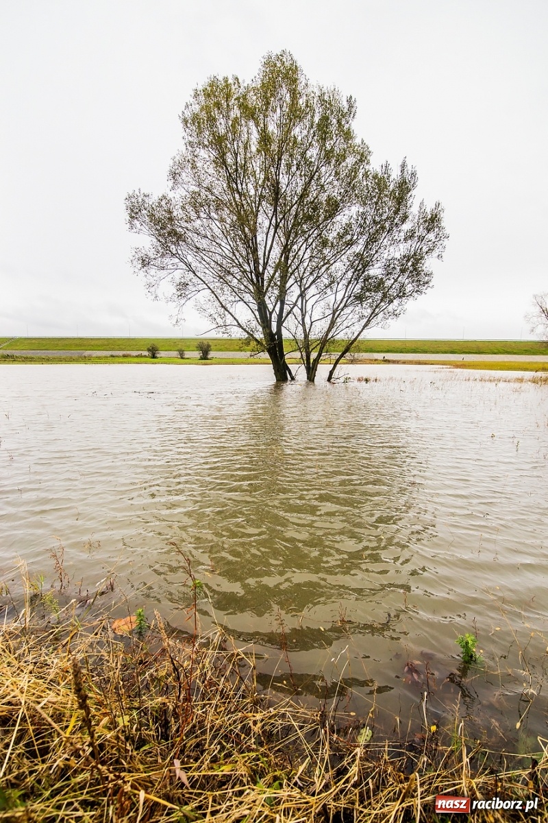 Zdjęcie w galerii na portalu naszraciborz.pl: Podjęto decyzję o natychmiastowym uruchomieniu zbiornika Racibórz wiadomości z regionu