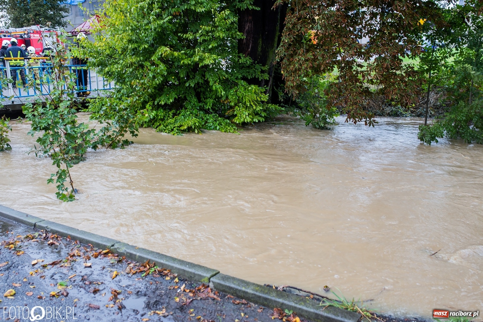 Zdjęcie w galerii na portalu naszraciborz.pl: Biała Woda rozlała się na centrum Krzanowic  wiadomości z regionu