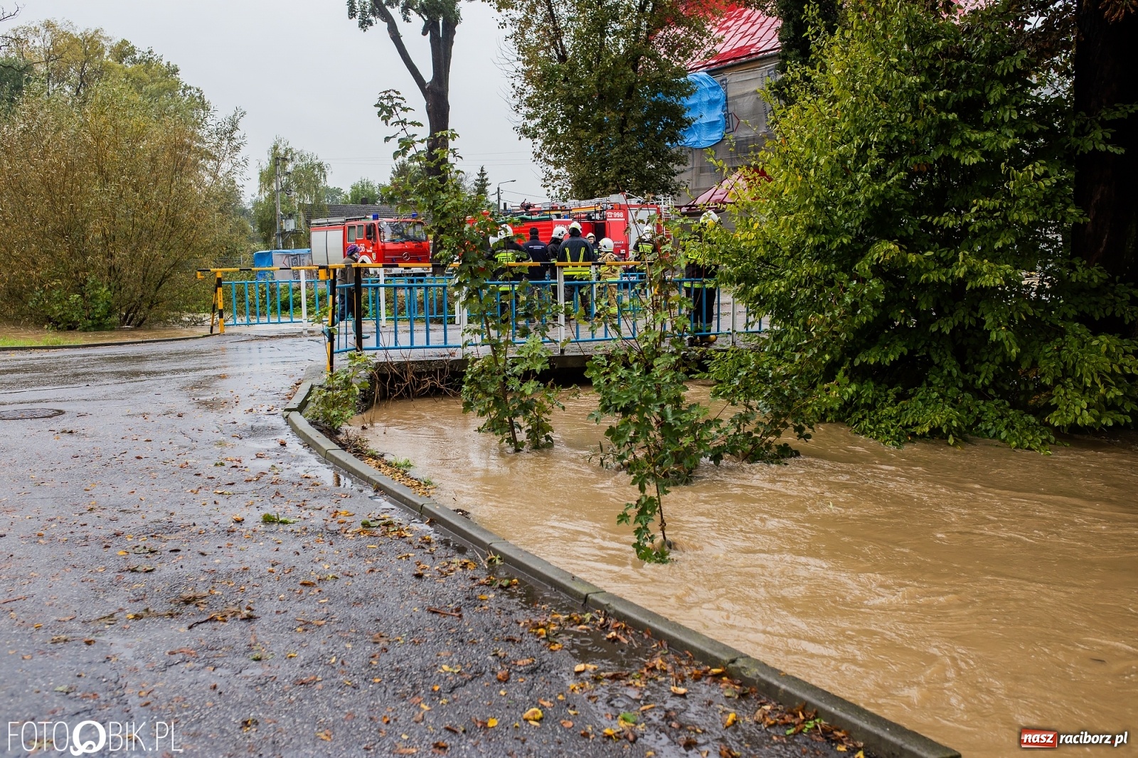Zdjęcie w galerii na portalu naszraciborz.pl: Biała Woda rozlała się na centrum Krzanowic  wiadomości z regionu