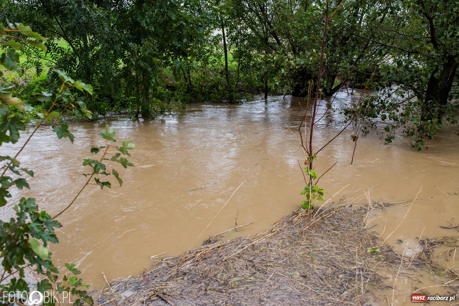 Zdjęcie w galerii na portalu naszraciborz.pl: Biała Woda rozlała się na centrum Krzanowic  wiadomości z regionu