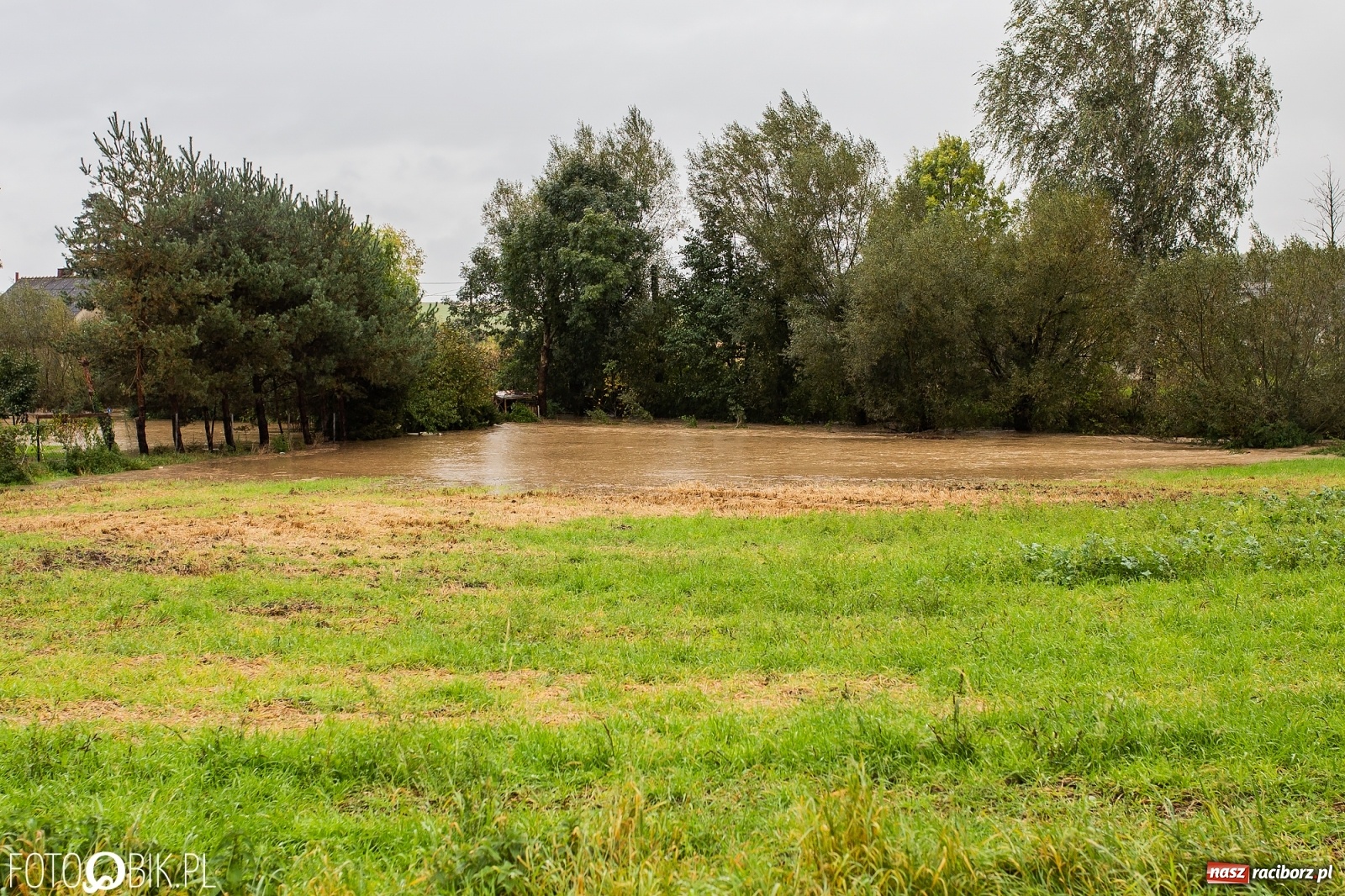Zdjęcie w galerii na portalu naszraciborz.pl: Biała Woda rozlała się na centrum Krzanowic  wiadomości z regionu
