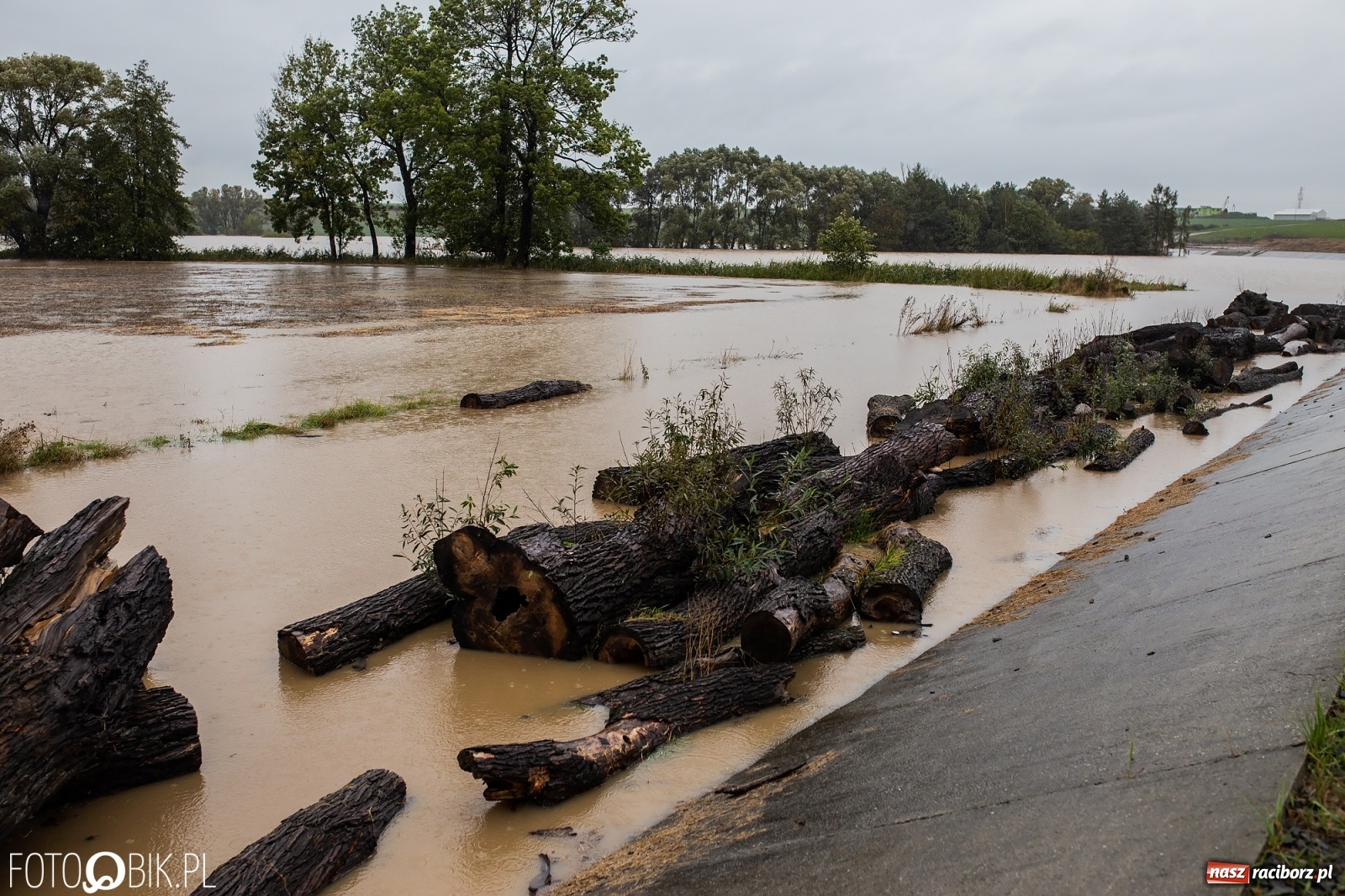 Zdjęcie w galerii na portalu naszraciborz.pl: Biała Woda rozlała się na centrum Krzanowic  wiadomości z regionu