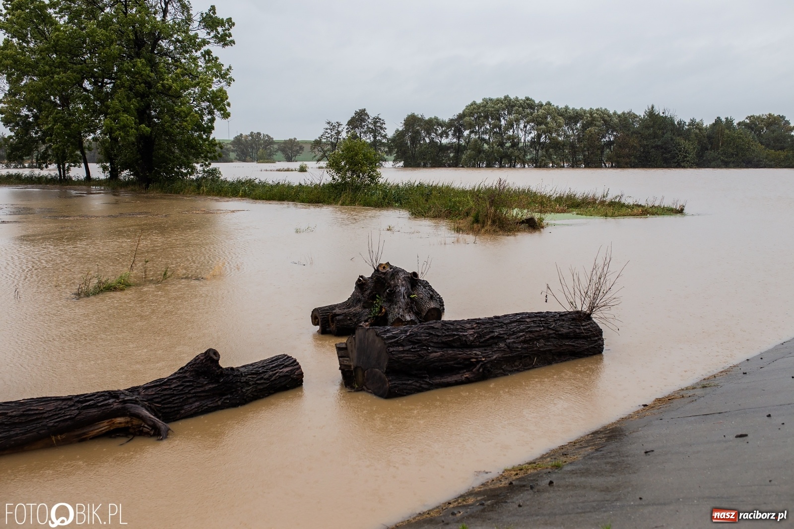 Zdjęcie w galerii na portalu naszraciborz.pl: Biała Woda rozlała się na centrum Krzanowic  wiadomości z regionu