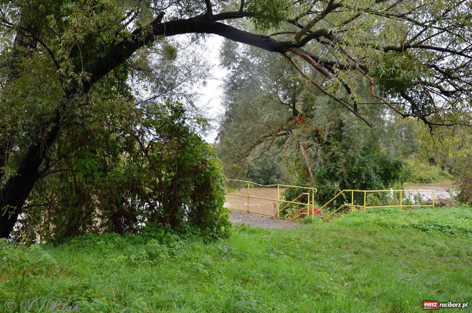 Zdjęcie w galerii na portalu naszraciborz.pl: Zbiornik zacznie piętrzyć wodę w nocy. Decyzja budzi jednak kontrowersje wiadomości z regionu