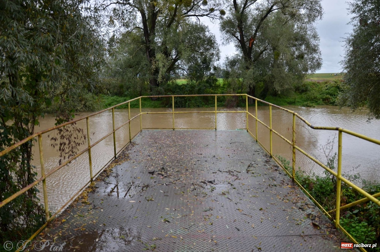 Zdjęcie w galerii na portalu naszraciborz.pl: Zbiornik zacznie piętrzyć wodę w nocy. Decyzja budzi jednak kontrowersje wiadomości z regionu