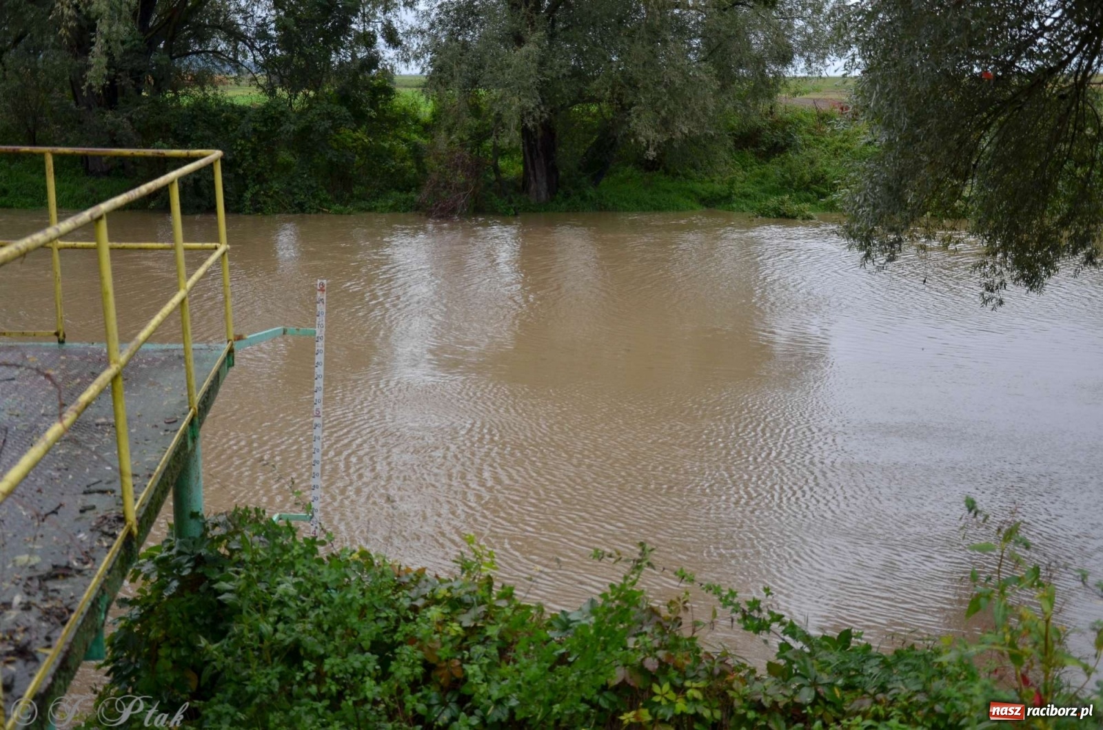 Zdjęcie w galerii na portalu naszraciborz.pl: Zbiornik zacznie piętrzyć wodę w nocy. Decyzja budzi jednak kontrowersje wiadomości z regionu
