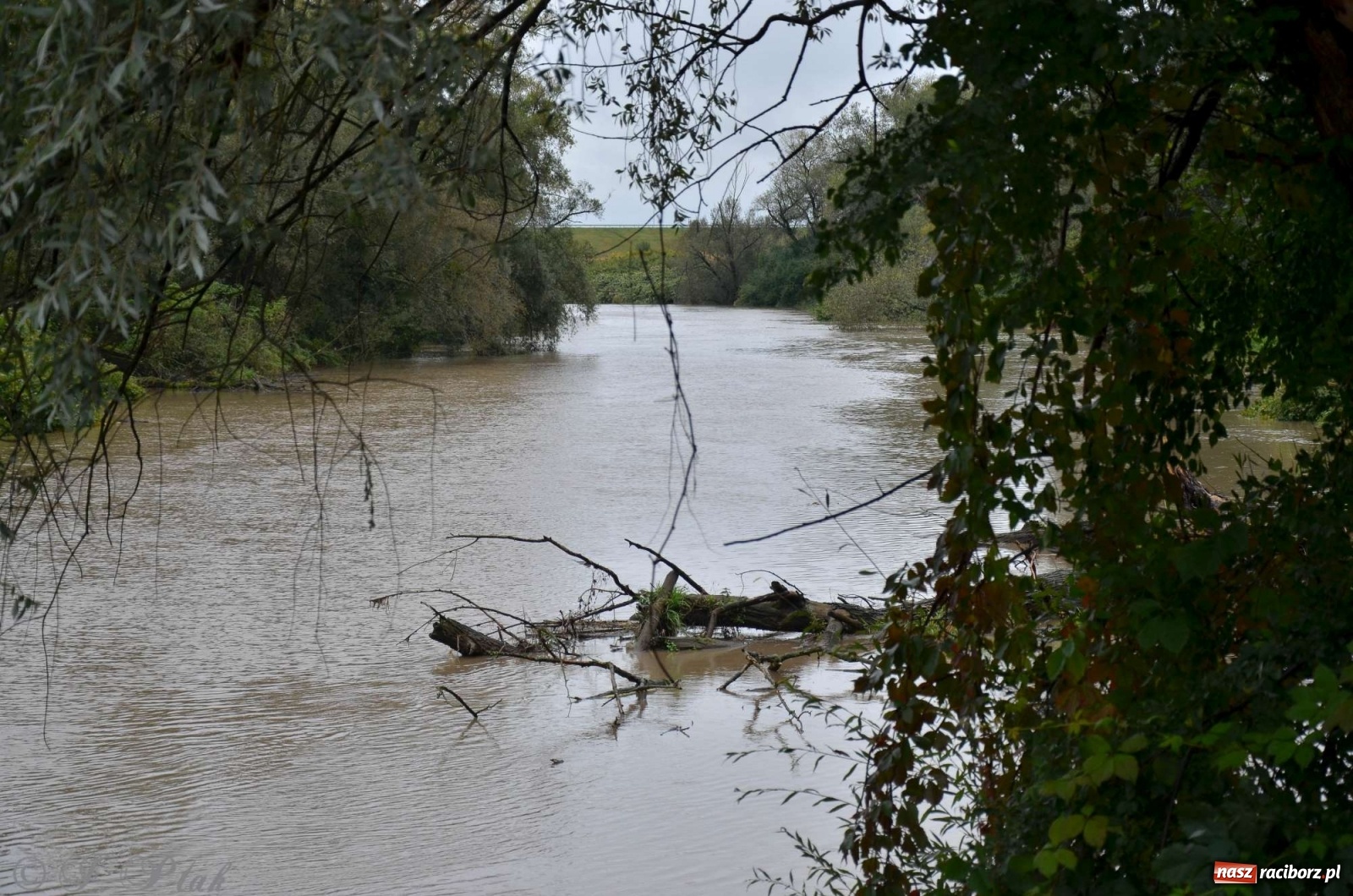 Zdjęcie w galerii na portalu naszraciborz.pl: Zbiornik zacznie piętrzyć wodę w nocy. Decyzja budzi jednak kontrowersje wiadomości z regionu