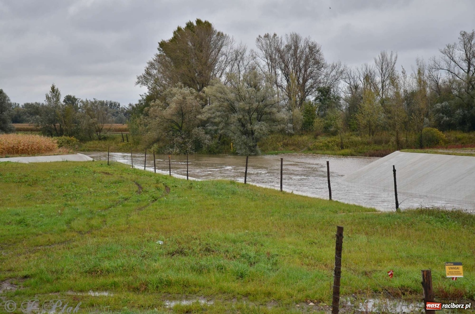 Zdjęcie w galerii na portalu naszraciborz.pl: Zbiornik zacznie piętrzyć wodę w nocy. Decyzja budzi jednak kontrowersje wiadomości z regionu