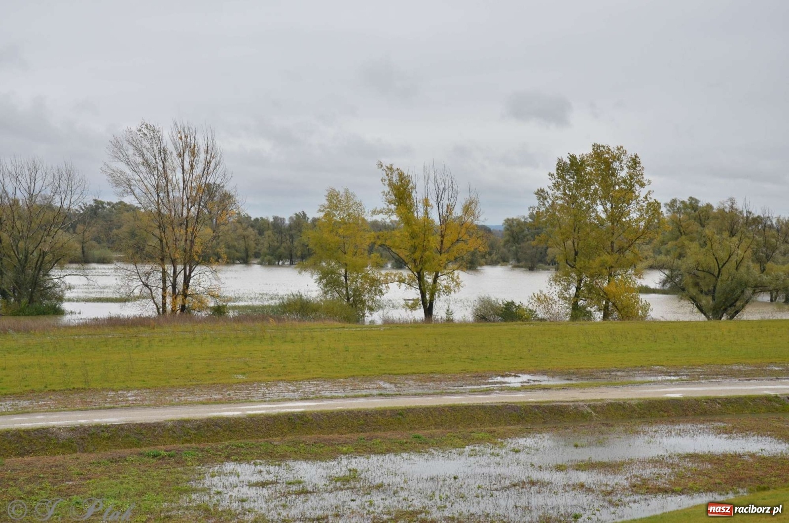 Zdjęcie w galerii na portalu naszraciborz.pl: Zbiornik zacznie piętrzyć wodę w nocy. Decyzja budzi jednak kontrowersje wiadomości z regionu