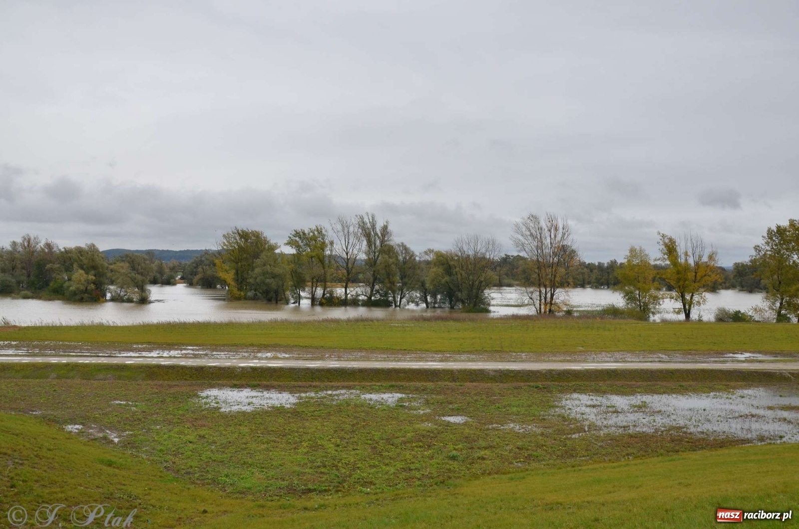 Zdjęcie w galerii na portalu naszraciborz.pl: Zbiornik zacznie piętrzyć wodę w nocy. Decyzja budzi jednak kontrowersje wiadomości z regionu