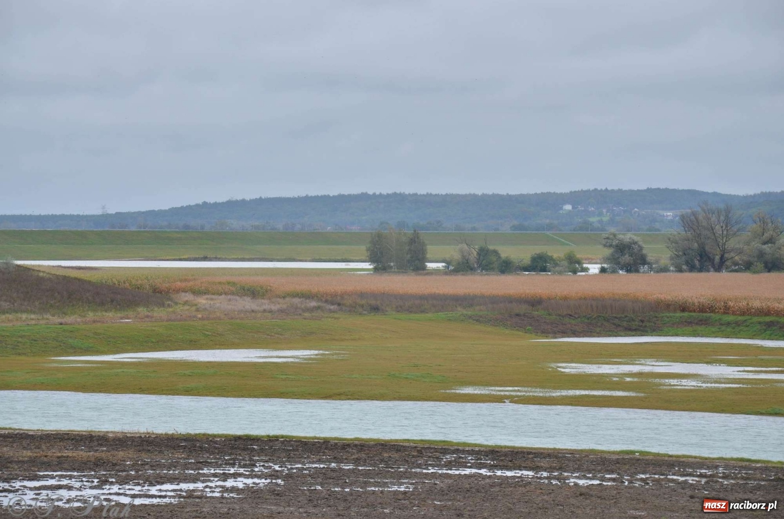 Zdjęcie w galerii na portalu naszraciborz.pl: Zbiornik zacznie piętrzyć wodę w nocy. Decyzja budzi jednak kontrowersje wiadomości z regionu