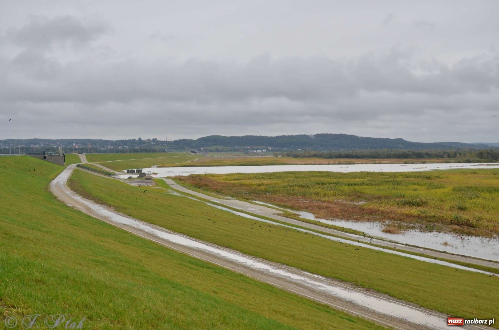 Zdjęcie w galerii na portalu naszraciborz.pl: Zbiornik zacznie piętrzyć wodę w nocy. Decyzja budzi jednak kontrowersje wiadomości z regionu
