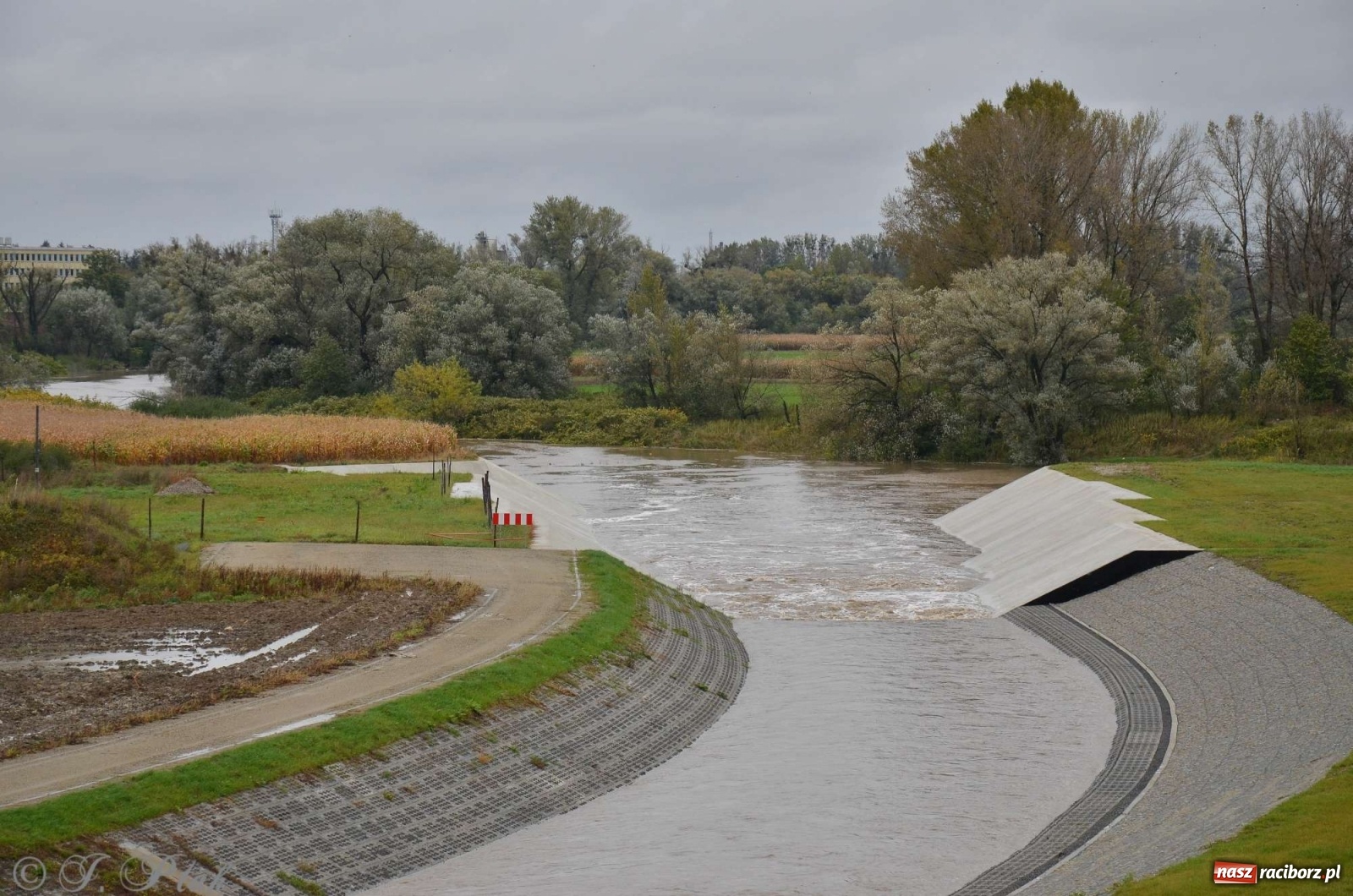 Zdjęcie w galerii na portalu naszraciborz.pl: Zbiornik zacznie piętrzyć wodę w nocy. Decyzja budzi jednak kontrowersje wiadomości z regionu