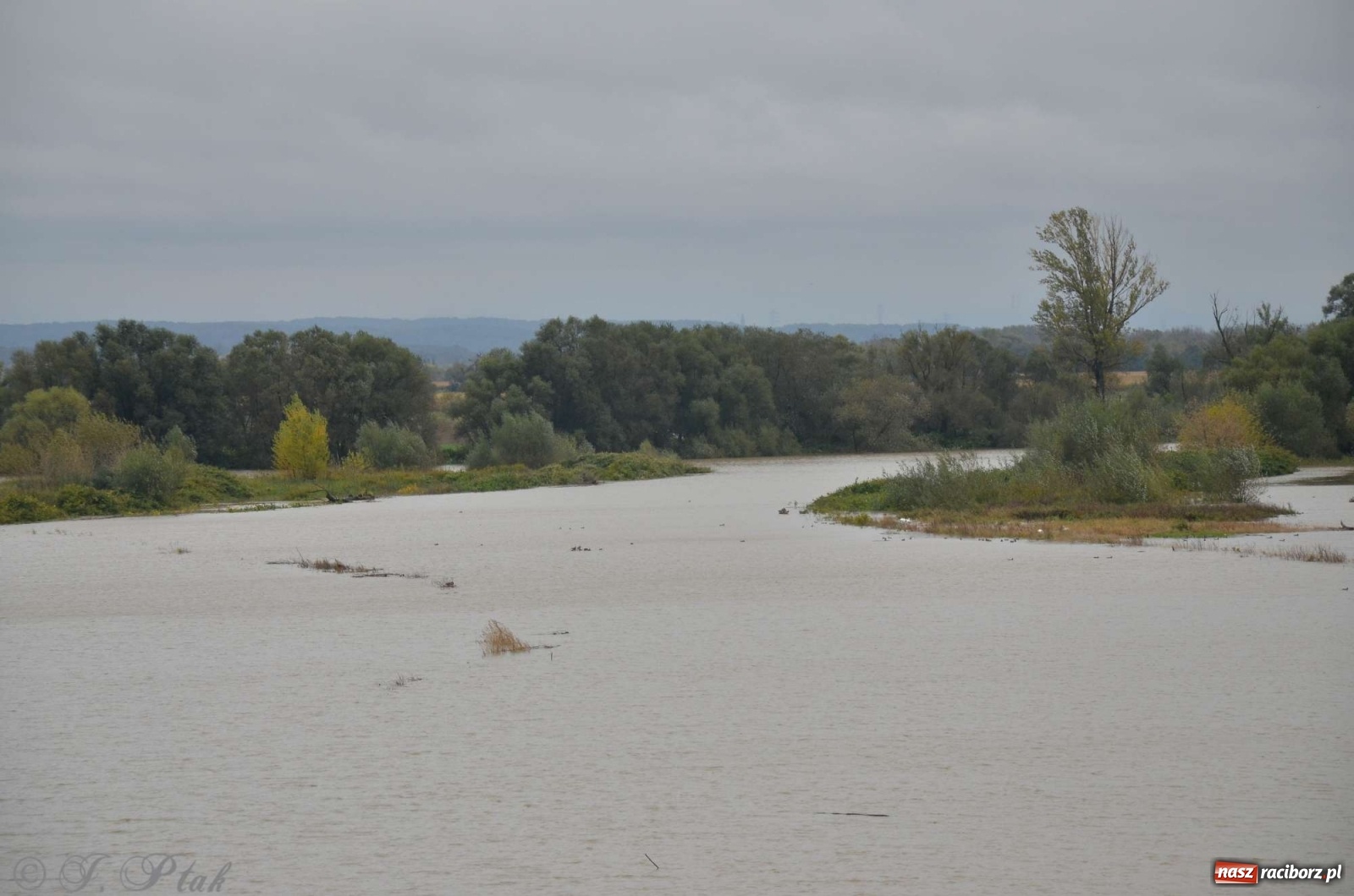 Zdjęcie w galerii na portalu naszraciborz.pl: Zbiornik zacznie piętrzyć wodę w nocy. Decyzja budzi jednak kontrowersje wiadomości z regionu