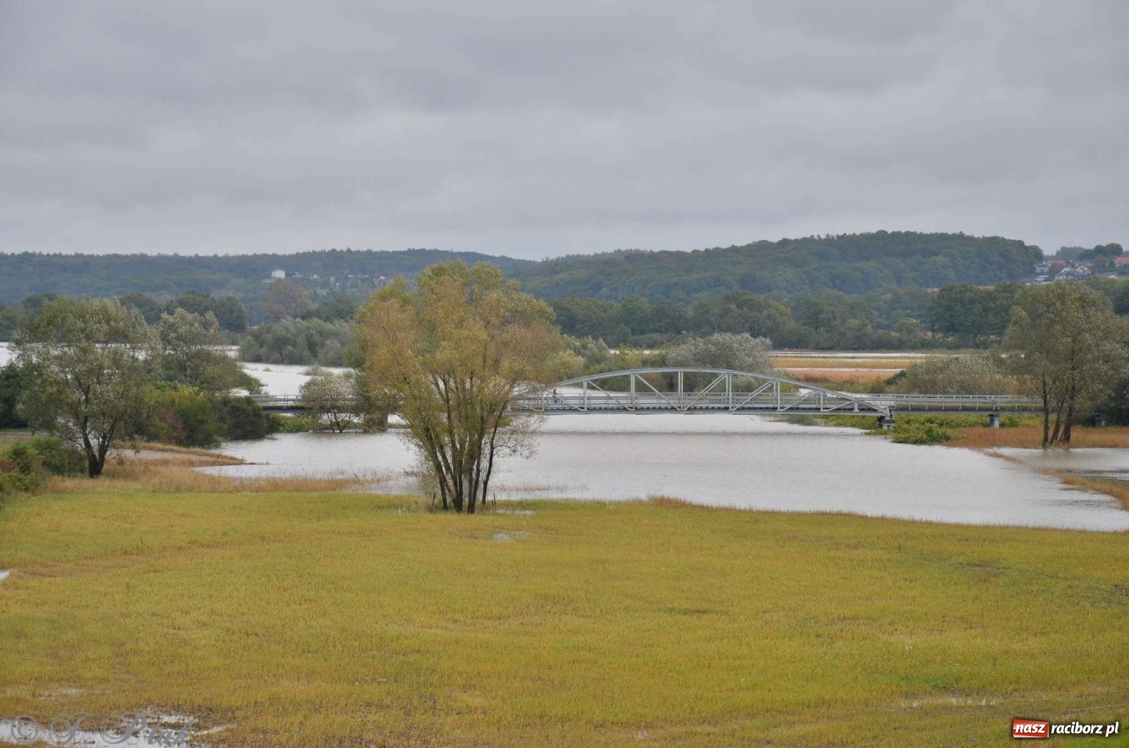 Zdjęcie w galerii na portalu naszraciborz.pl: Zbiornik zacznie piętrzyć wodę w nocy. Decyzja budzi jednak kontrowersje wiadomości z regionu