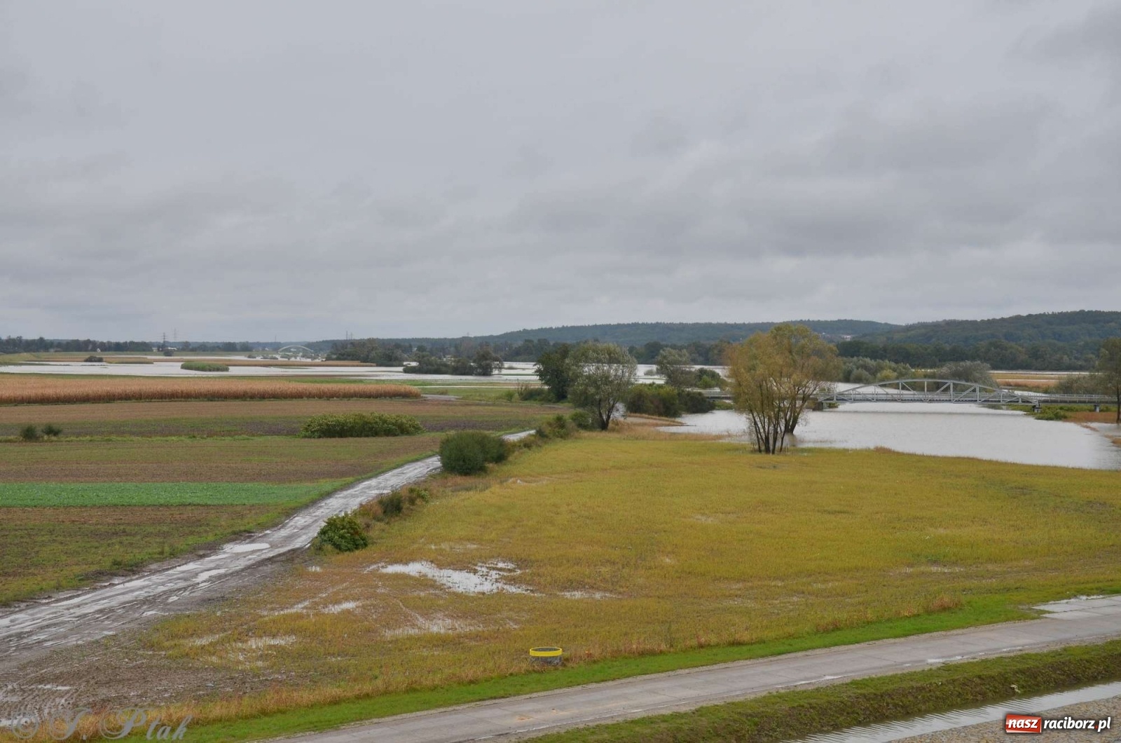 Zdjęcie w galerii na portalu naszraciborz.pl: Zbiornik zacznie piętrzyć wodę w nocy. Decyzja budzi jednak kontrowersje wiadomości z regionu