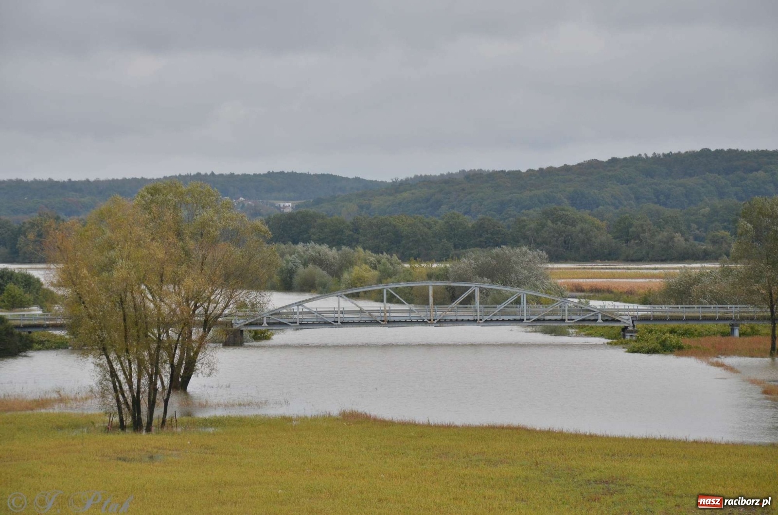 Zdjęcie w galerii na portalu naszraciborz.pl: Zbiornik zacznie piętrzyć wodę w nocy. Decyzja budzi jednak kontrowersje wiadomości z regionu