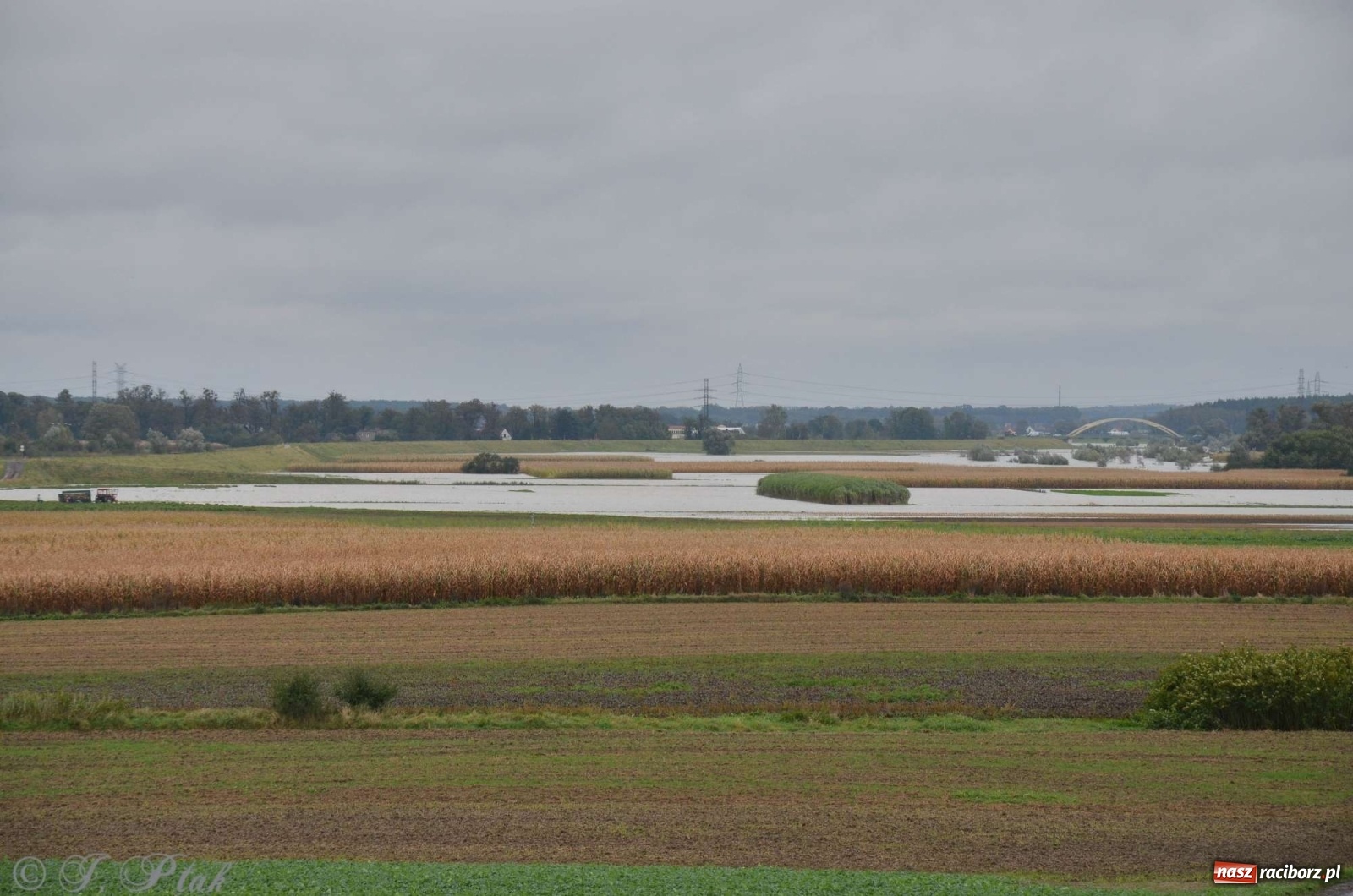 Zdjęcie w galerii na portalu naszraciborz.pl: Zbiornik zacznie piętrzyć wodę w nocy. Decyzja budzi jednak kontrowersje wiadomości z regionu