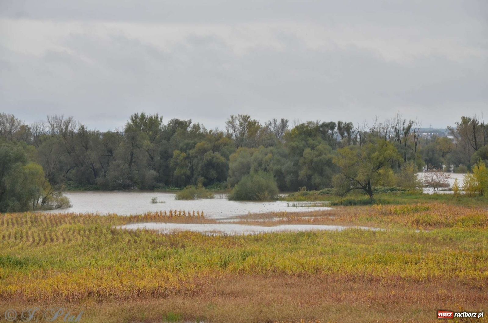 Zdjęcie w galerii na portalu naszraciborz.pl: Zbiornik zacznie piętrzyć wodę w nocy. Decyzja budzi jednak kontrowersje wiadomości z regionu