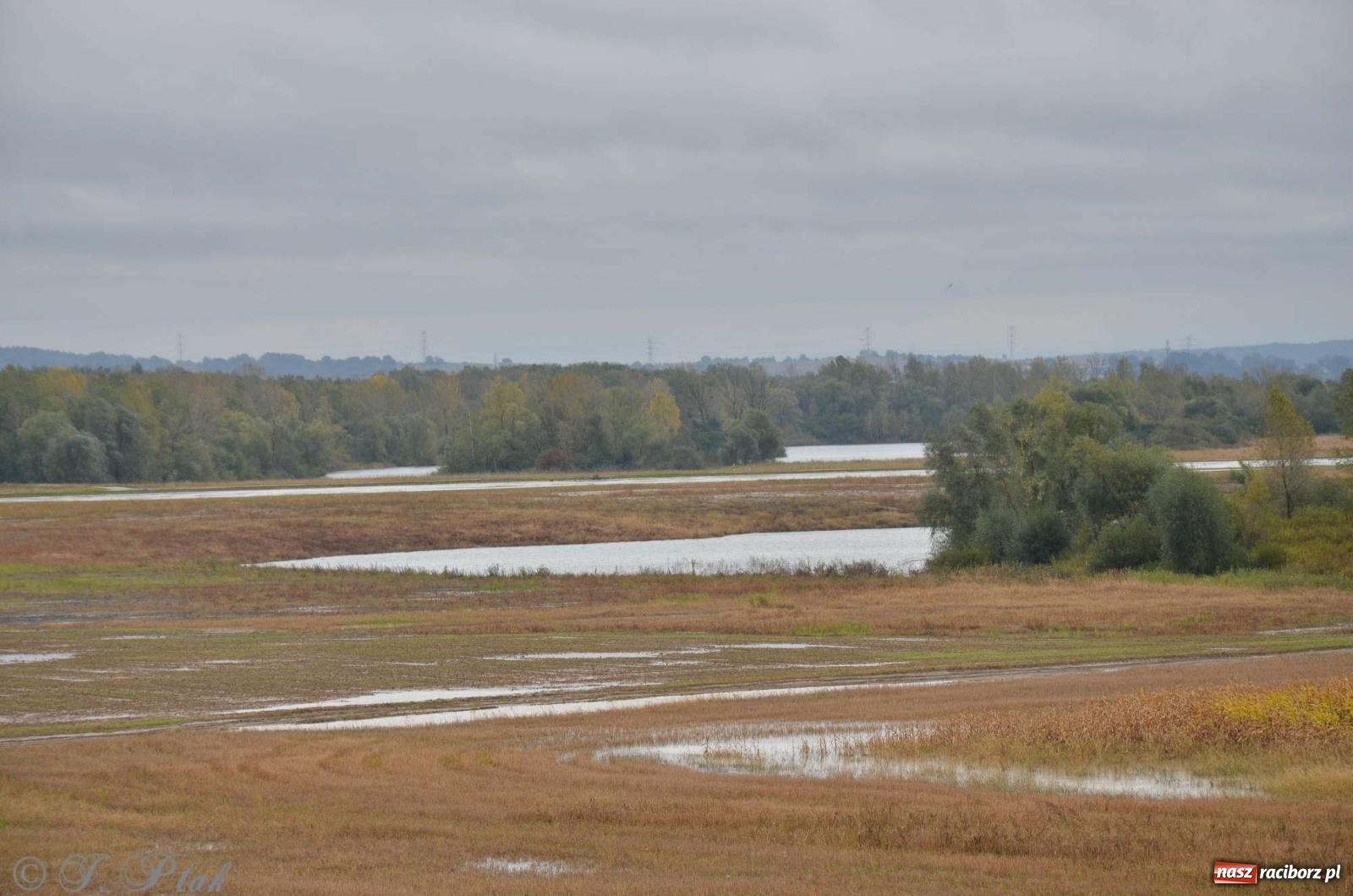 Zdjęcie w galerii na portalu naszraciborz.pl: Zbiornik zacznie piętrzyć wodę w nocy. Decyzja budzi jednak kontrowersje wiadomości z regionu