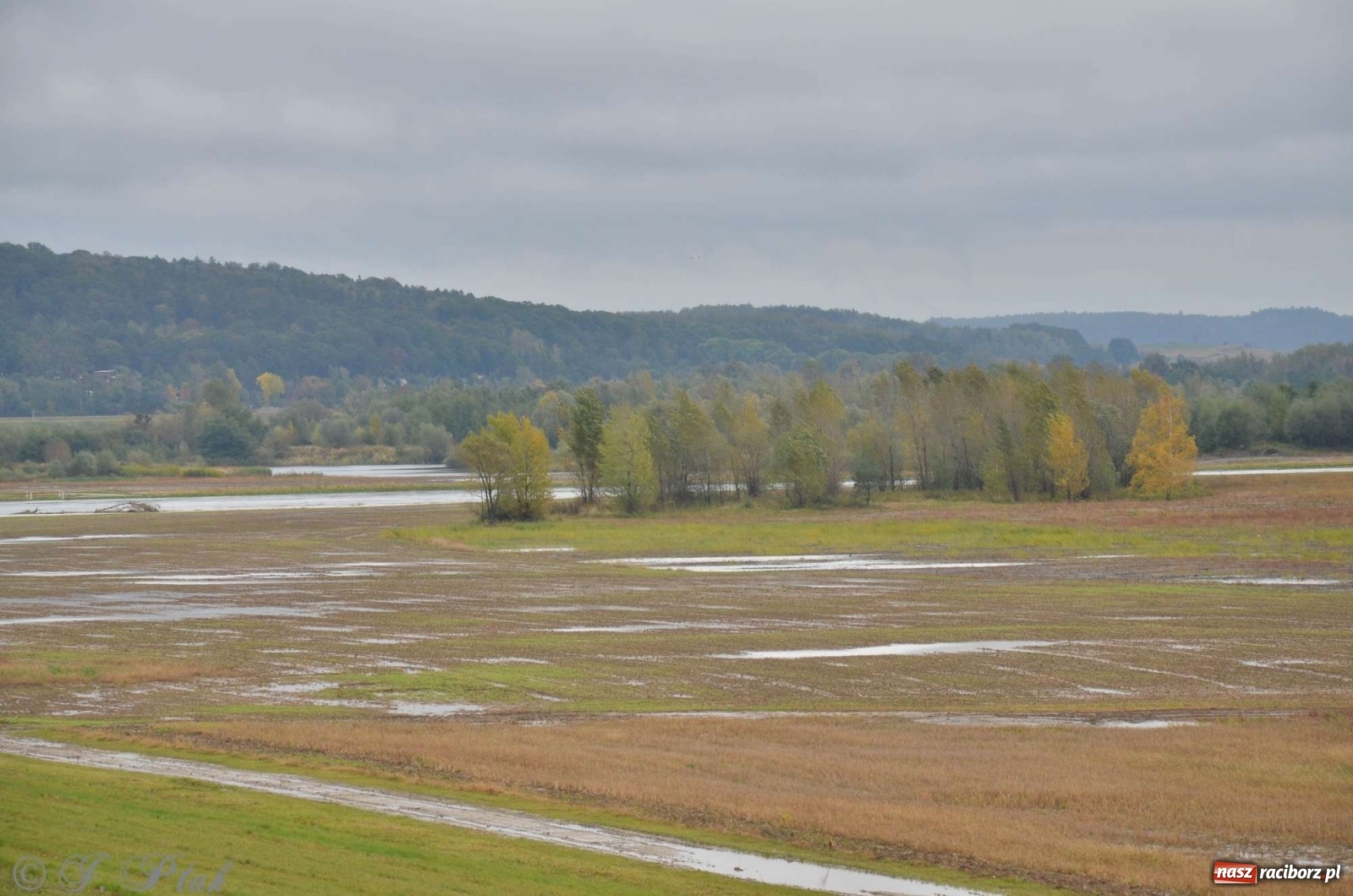 Zdjęcie w galerii na portalu naszraciborz.pl: Zbiornik zacznie piętrzyć wodę w nocy. Decyzja budzi jednak kontrowersje wiadomości z regionu