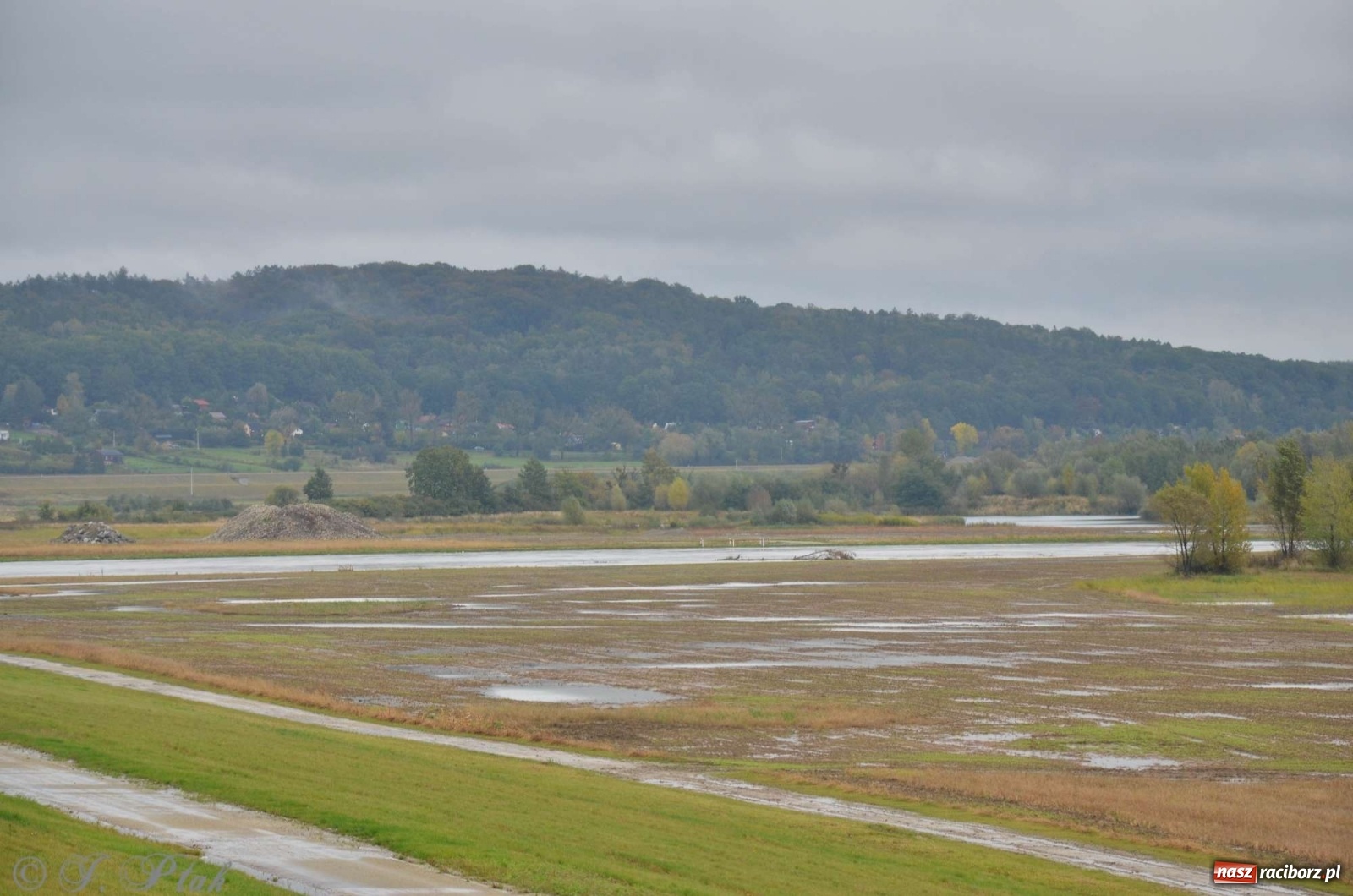 Zdjęcie w galerii na portalu naszraciborz.pl: Zbiornik zacznie piętrzyć wodę w nocy. Decyzja budzi jednak kontrowersje wiadomości z regionu