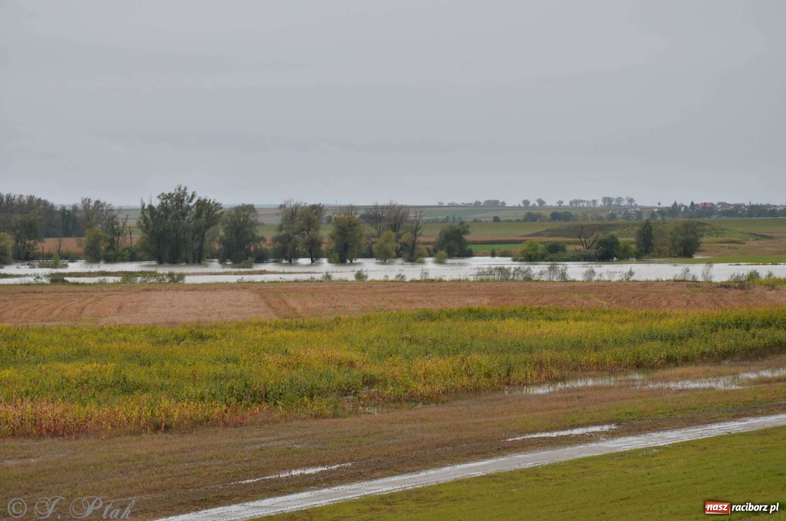 Zdjęcie w galerii na portalu naszraciborz.pl: Zbiornik zacznie piętrzyć wodę w nocy. Decyzja budzi jednak kontrowersje wiadomości z regionu