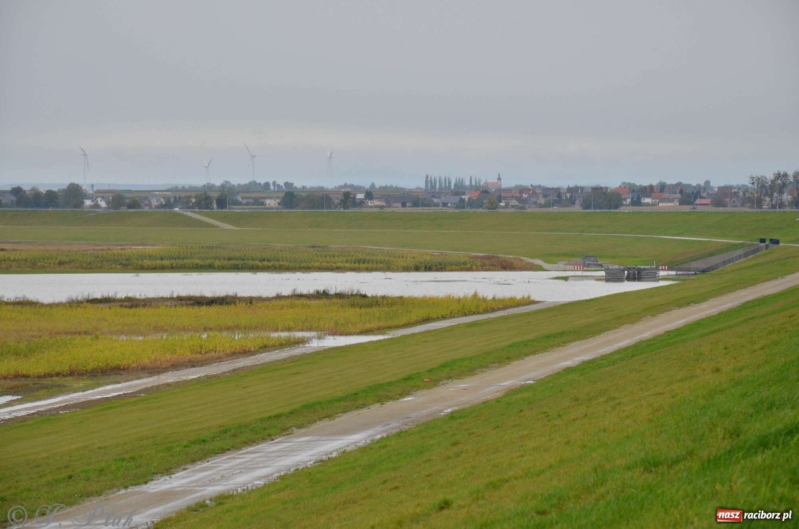 Zdjęcie w galerii na portalu naszraciborz.pl: Zbiornik zacznie piętrzyć wodę w nocy. Decyzja budzi jednak kontrowersje wiadomości z regionu