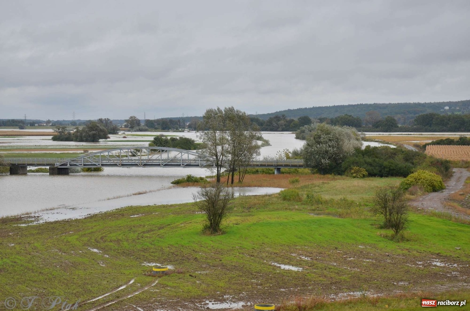 Zdjęcie w galerii na portalu naszraciborz.pl: Zbiornik zacznie piętrzyć wodę w nocy. Decyzja budzi jednak kontrowersje wiadomości z regionu