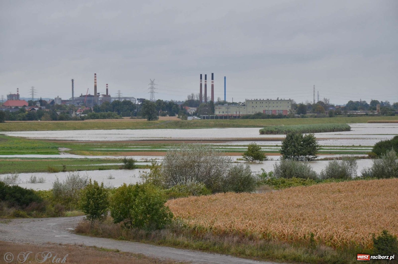 Zdjęcie w galerii na portalu naszraciborz.pl: Zbiornik zacznie piętrzyć wodę w nocy. Decyzja budzi jednak kontrowersje wiadomości z regionu
