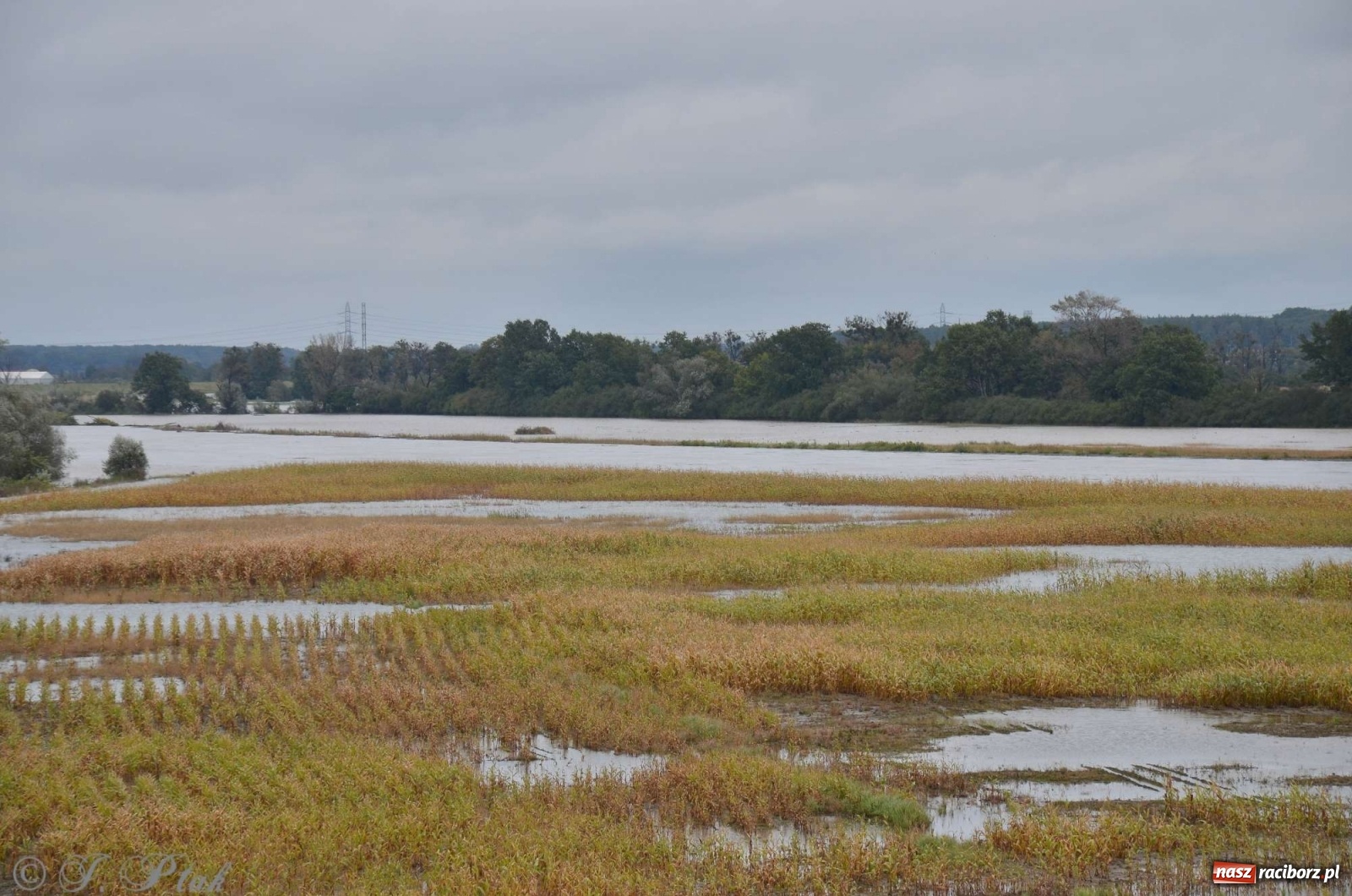 Zdjęcie w galerii na portalu naszraciborz.pl: Zbiornik zacznie piętrzyć wodę w nocy. Decyzja budzi jednak kontrowersje wiadomości z regionu
