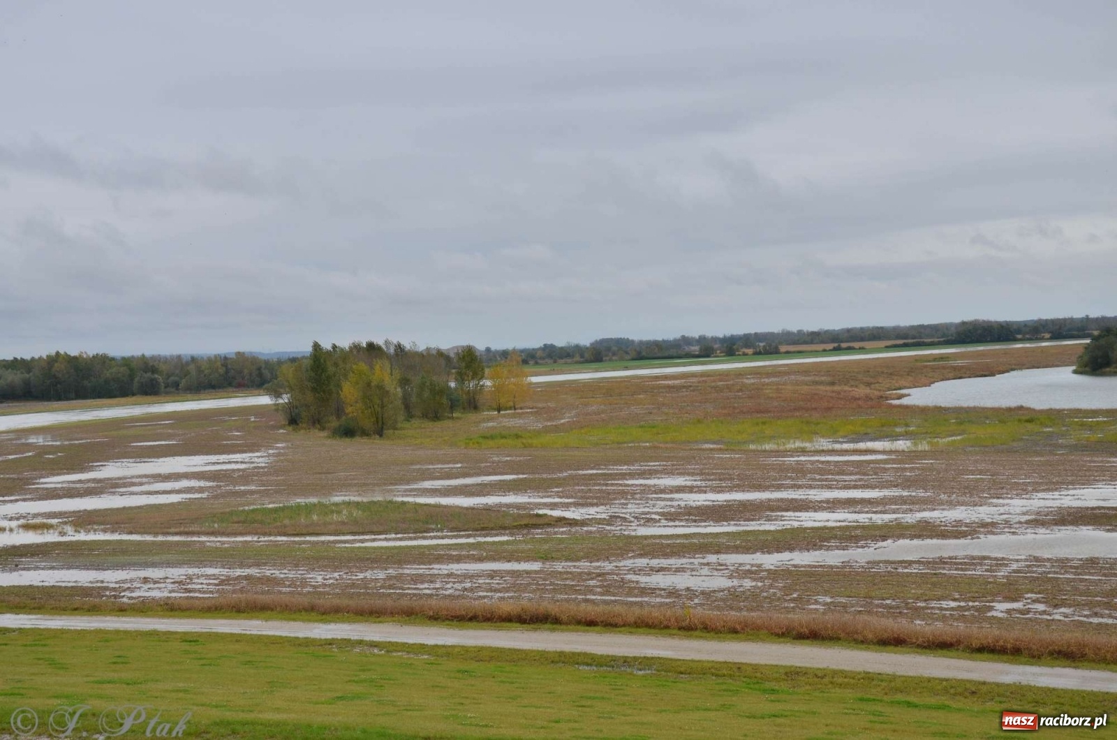 Zdjęcie w galerii na portalu naszraciborz.pl: Zbiornik zacznie piętrzyć wodę w nocy. Decyzja budzi jednak kontrowersje wiadomości z regionu