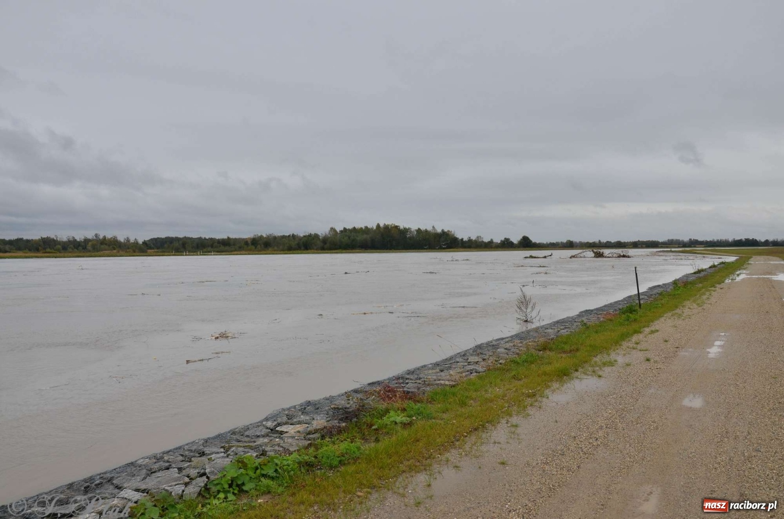 Zdjęcie w galerii na portalu naszraciborz.pl: Zbiornik zacznie piętrzyć wodę w nocy. Decyzja budzi jednak kontrowersje wiadomości z regionu