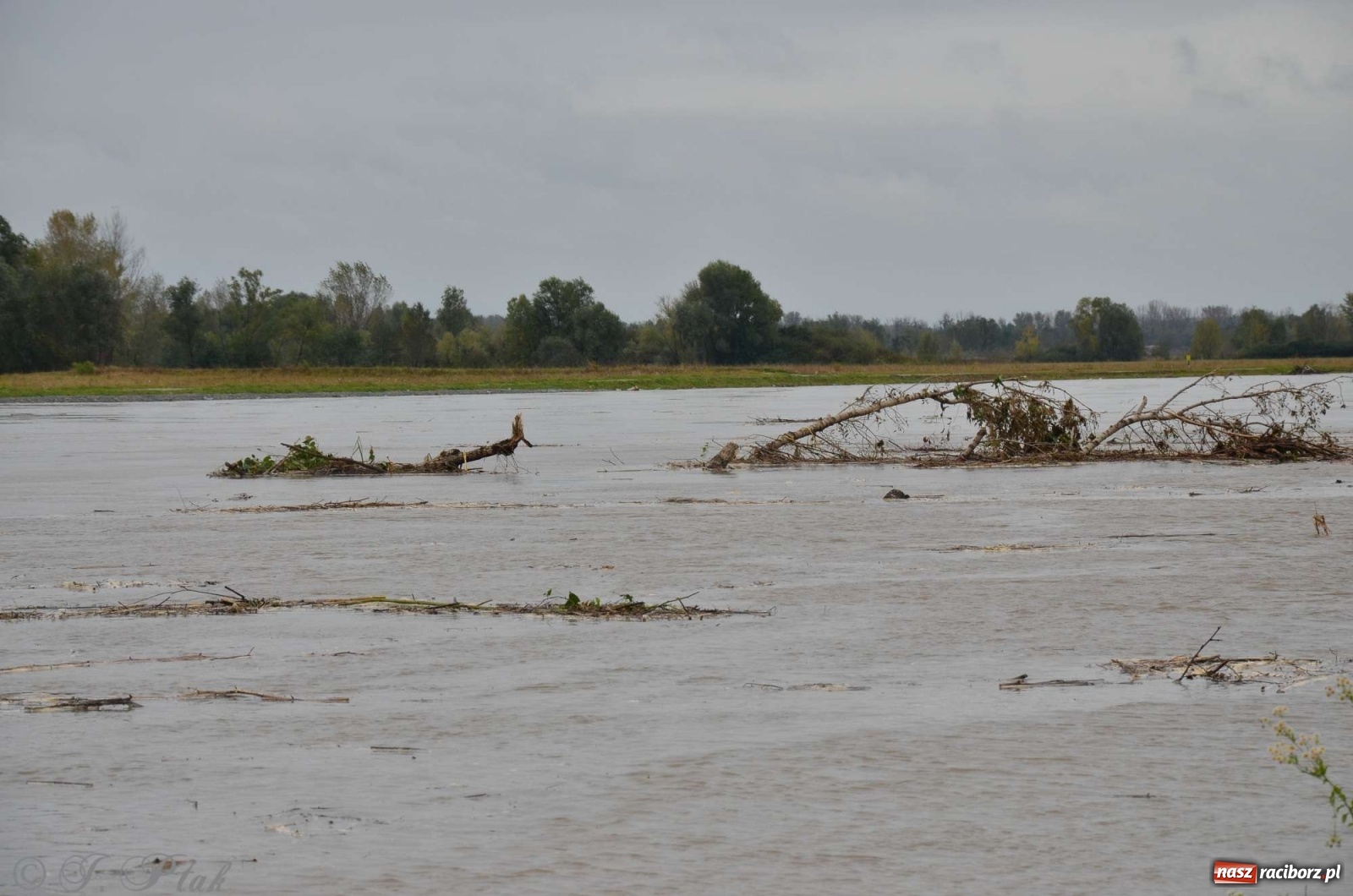 Zdjęcie w galerii na portalu naszraciborz.pl: Zbiornik zacznie piętrzyć wodę w nocy. Decyzja budzi jednak kontrowersje wiadomości z regionu