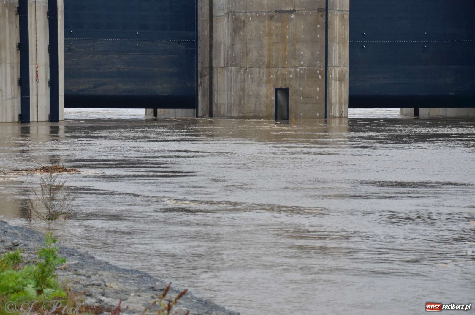 Zdjęcie w galerii na portalu naszraciborz.pl: Zbiornik zacznie piętrzyć wodę w nocy. Decyzja budzi jednak kontrowersje wiadomości z regionu
