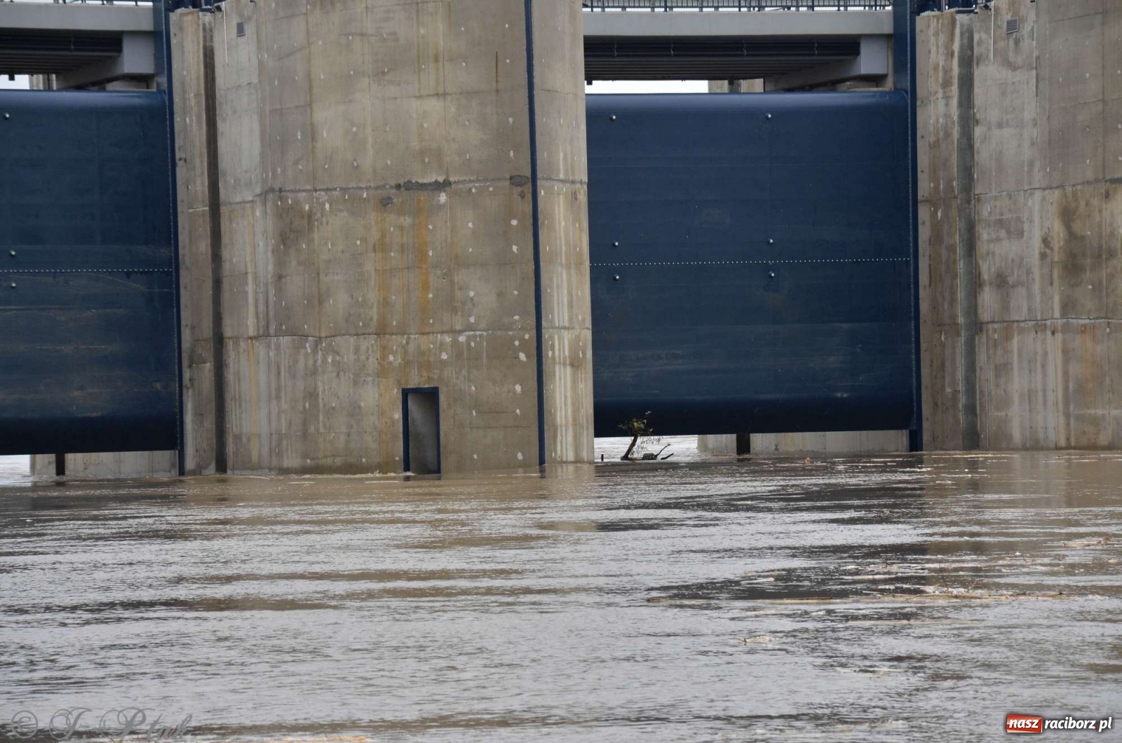 Zdjęcie w galerii na portalu naszraciborz.pl: Zbiornik zacznie piętrzyć wodę w nocy. Decyzja budzi jednak kontrowersje wiadomości z regionu