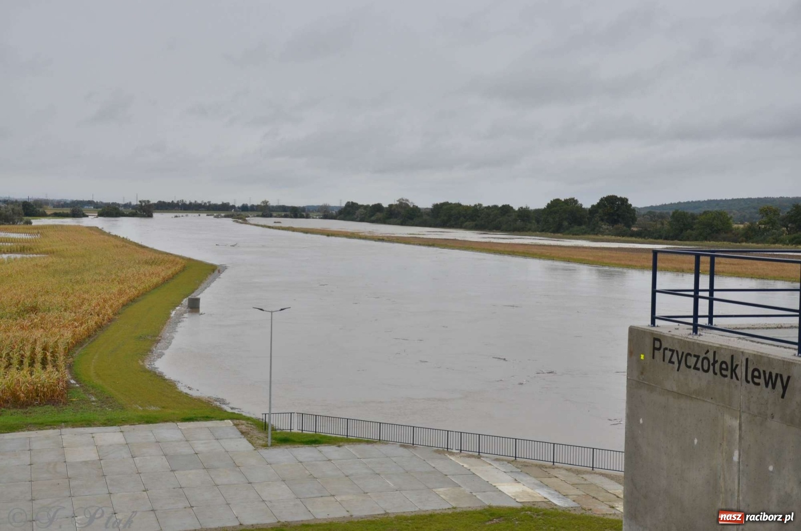 Zdjęcie w galerii na portalu naszraciborz.pl: Zbiornik zacznie piętrzyć wodę w nocy. Decyzja budzi jednak kontrowersje wiadomości z regionu