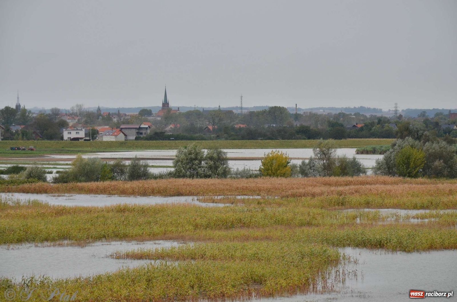 Zdjęcie w galerii na portalu naszraciborz.pl: Zbiornik zacznie piętrzyć wodę w nocy. Decyzja budzi jednak kontrowersje wiadomości z regionu