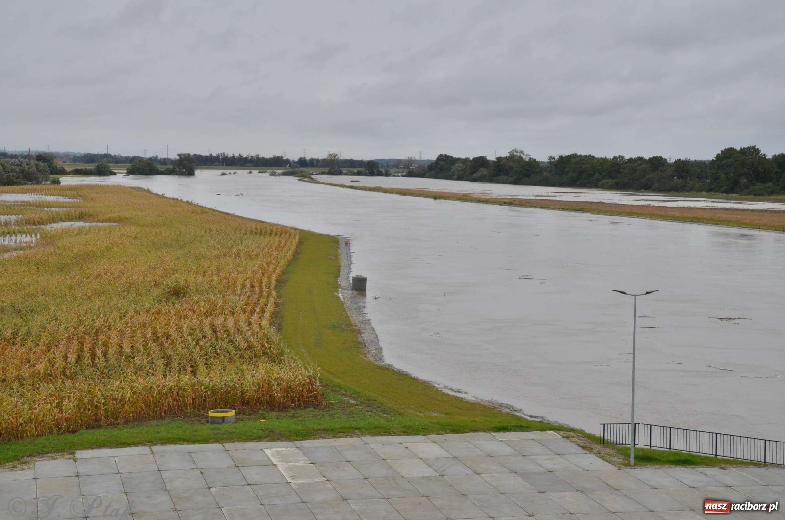 Zdjęcie w galerii na portalu naszraciborz.pl: Zbiornik zacznie piętrzyć wodę w nocy. Decyzja budzi jednak kontrowersje wiadomości z regionu