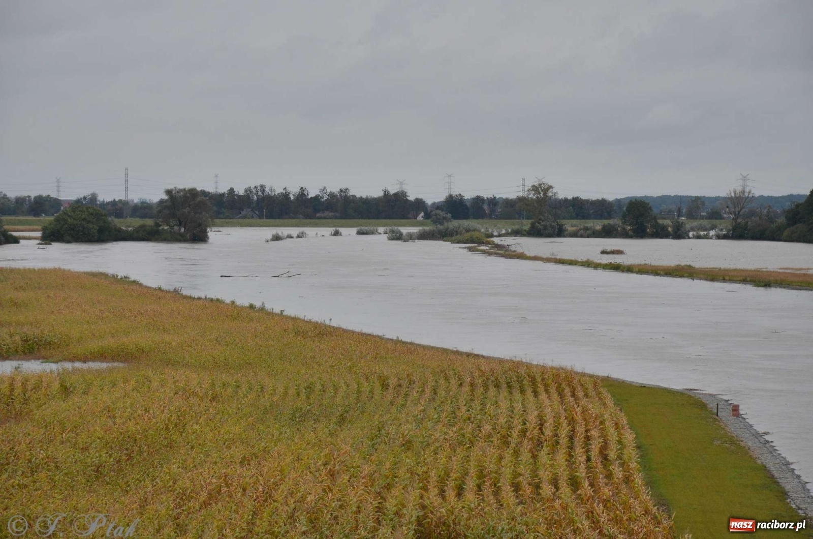 Zdjęcie w galerii na portalu naszraciborz.pl: Zbiornik zacznie piętrzyć wodę w nocy. Decyzja budzi jednak kontrowersje wiadomości z regionu