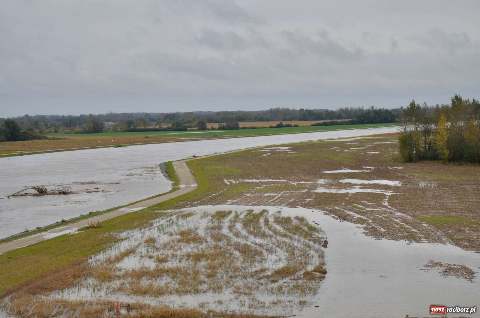 Zdjęcie w galerii na portalu naszraciborz.pl: Zbiornik zacznie piętrzyć wodę w nocy. Decyzja budzi jednak kontrowersje wiadomości z regionu