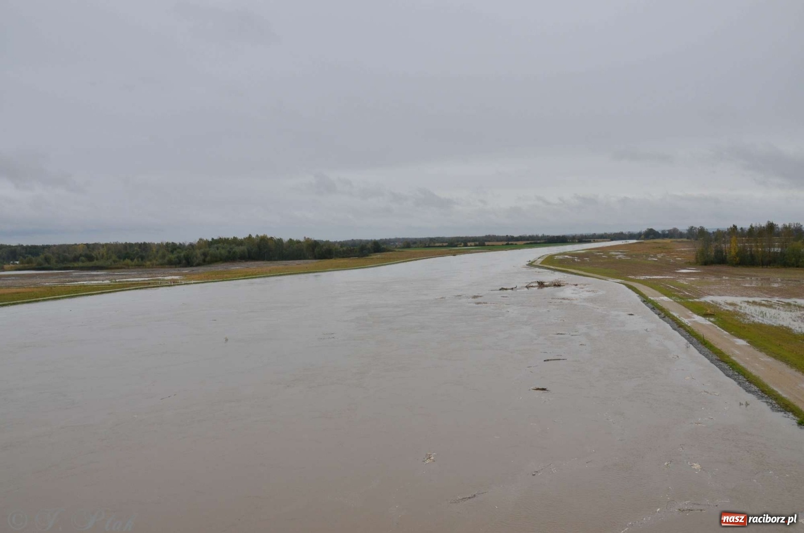 Zdjęcie w galerii na portalu naszraciborz.pl: Zbiornik zacznie piętrzyć wodę w nocy. Decyzja budzi jednak kontrowersje wiadomości z regionu