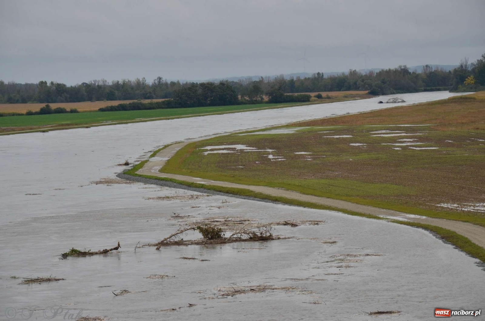 Zdjęcie w galerii na portalu naszraciborz.pl: Zbiornik zacznie piętrzyć wodę w nocy. Decyzja budzi jednak kontrowersje wiadomości z regionu