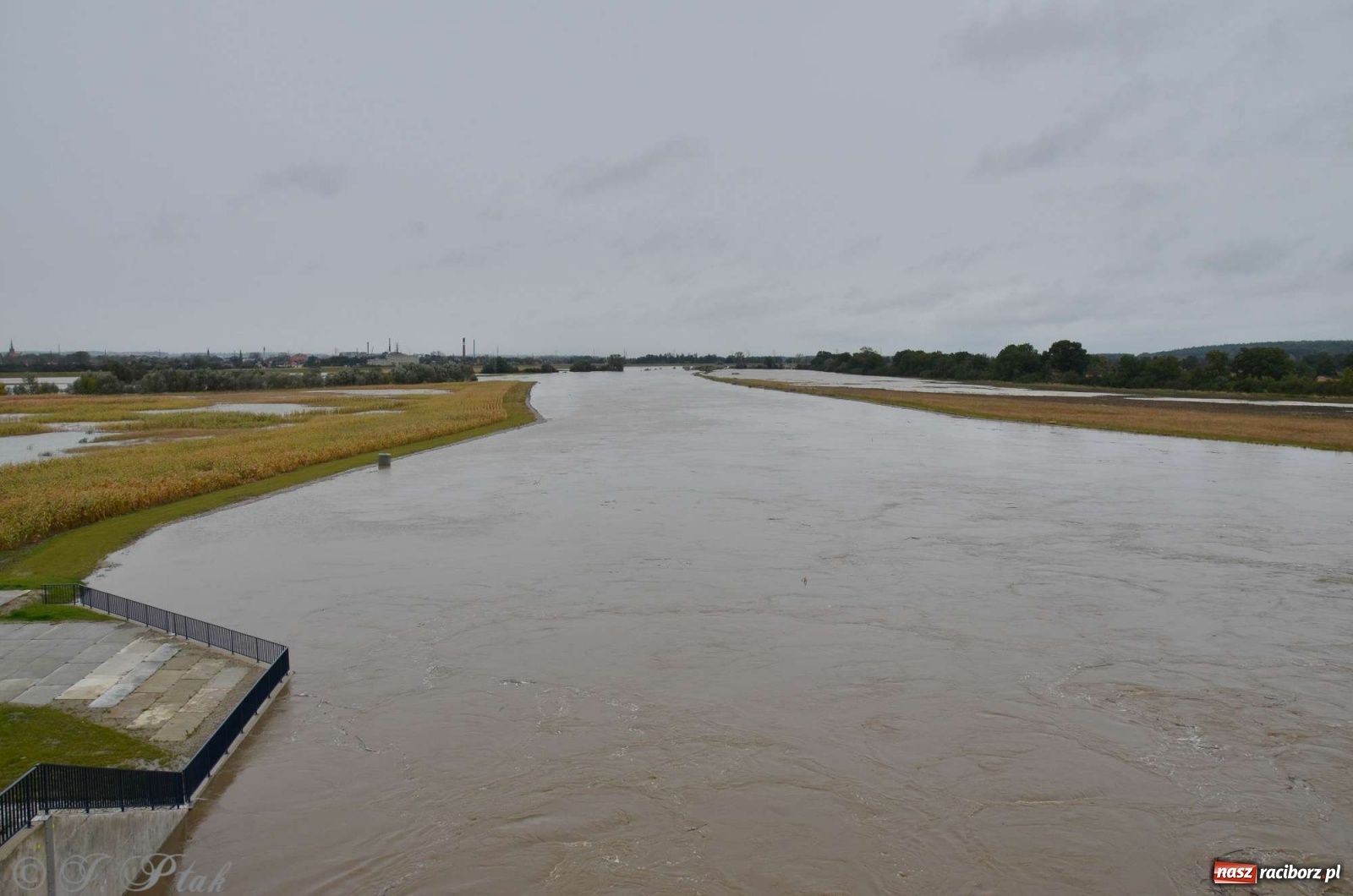 Zdjęcie w galerii na portalu naszraciborz.pl: Zbiornik zacznie piętrzyć wodę w nocy. Decyzja budzi jednak kontrowersje wiadomości z regionu