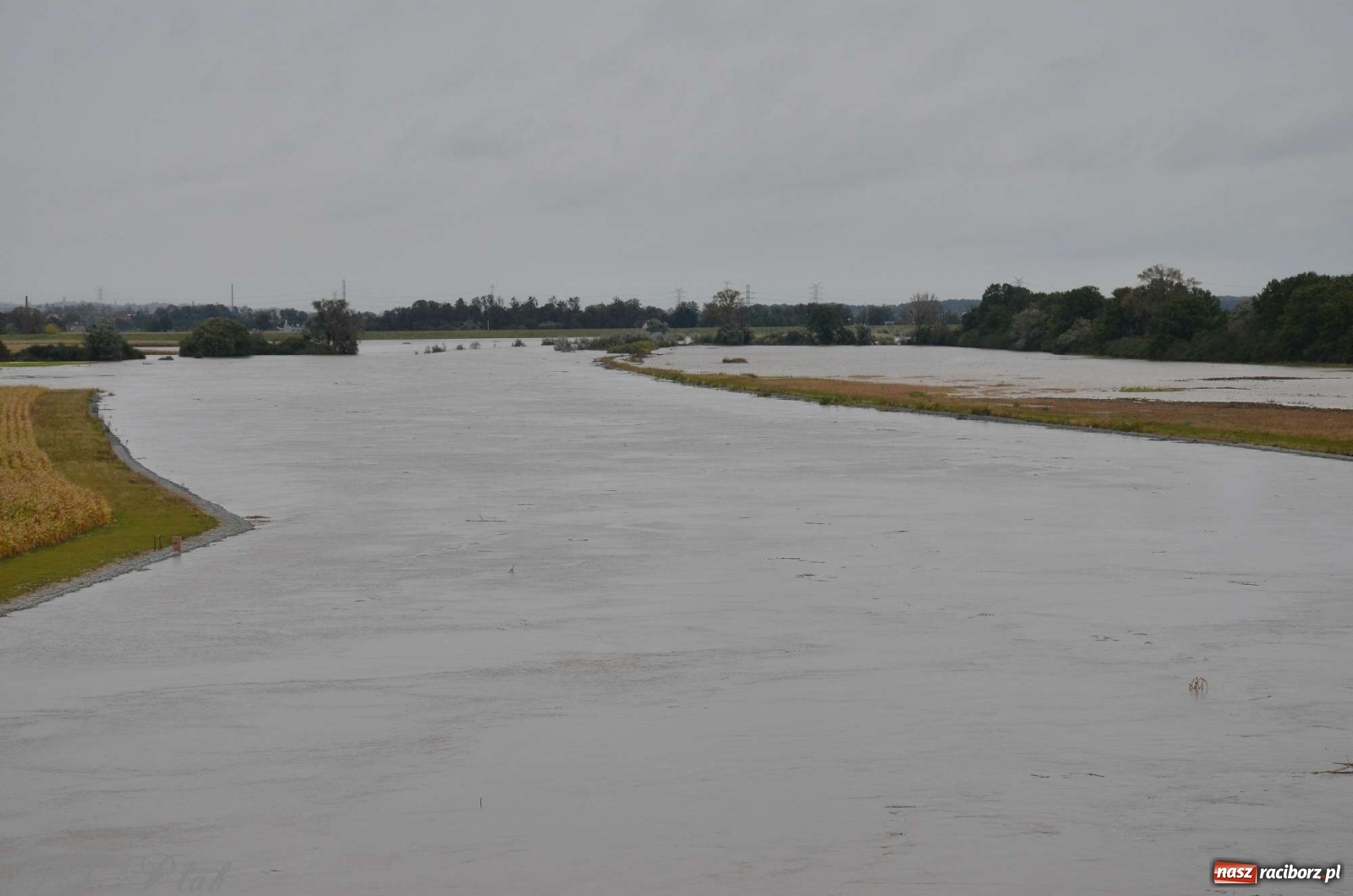 Zdjęcie w galerii na portalu naszraciborz.pl: Zbiornik zacznie piętrzyć wodę w nocy. Decyzja budzi jednak kontrowersje wiadomości z regionu