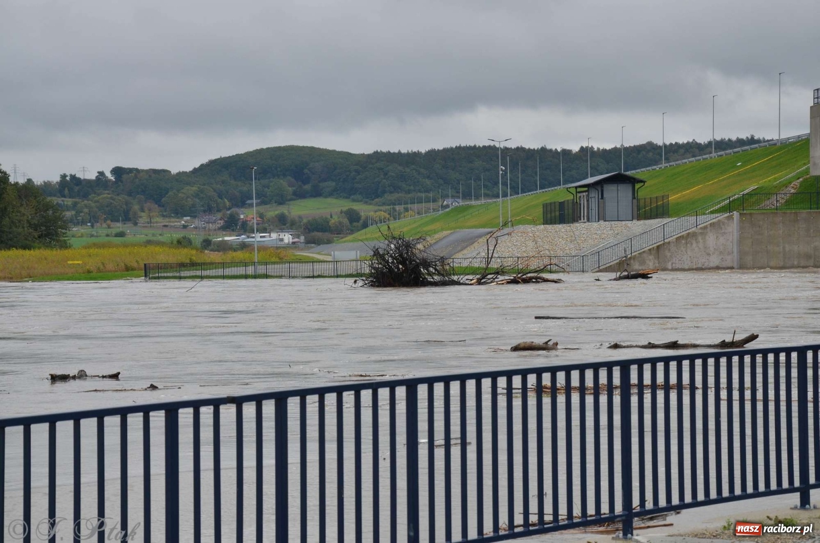 Zdjęcie w galerii na portalu naszraciborz.pl: Zbiornik zacznie piętrzyć wodę w nocy. Decyzja budzi jednak kontrowersje wiadomości z regionu