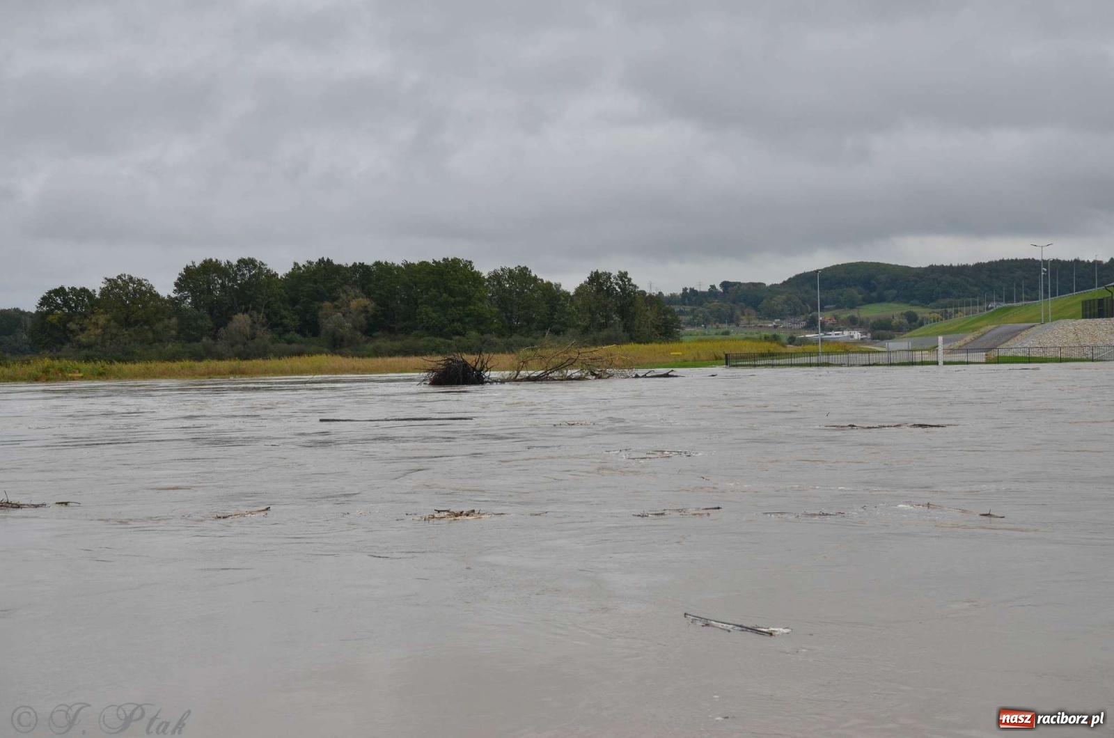 Zdjęcie w galerii na portalu naszraciborz.pl: Zbiornik zacznie piętrzyć wodę w nocy. Decyzja budzi jednak kontrowersje wiadomości z regionu