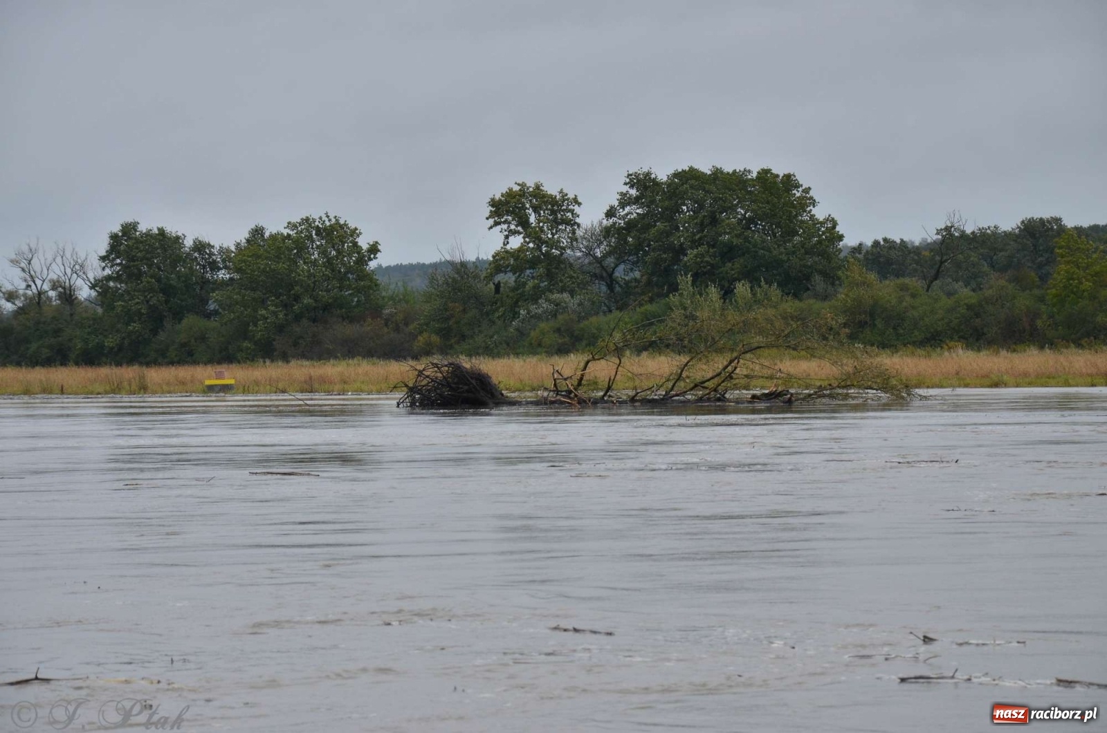 Zdjęcie w galerii na portalu naszraciborz.pl: Zbiornik zacznie piętrzyć wodę w nocy. Decyzja budzi jednak kontrowersje wiadomości z regionu