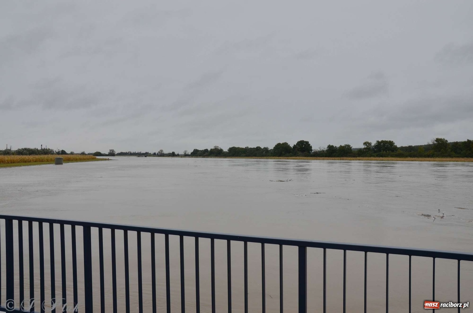 Zdjęcie w galerii na portalu naszraciborz.pl: Zbiornik zacznie piętrzyć wodę w nocy. Decyzja budzi jednak kontrowersje wiadomości z regionu